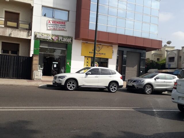 Animal Planet - Rabat - +212 5376-31989