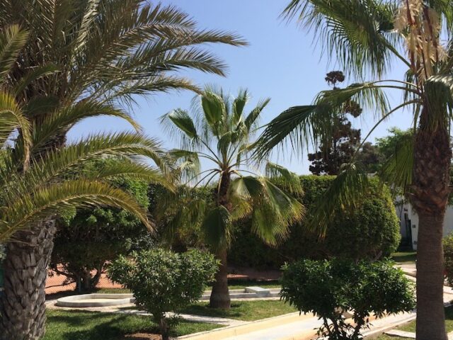 Hotel Tamlelt - Agadir - +212 5288-47102