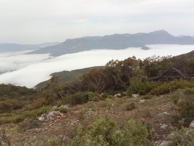 Forêt Sidi Mnar - Tanger -