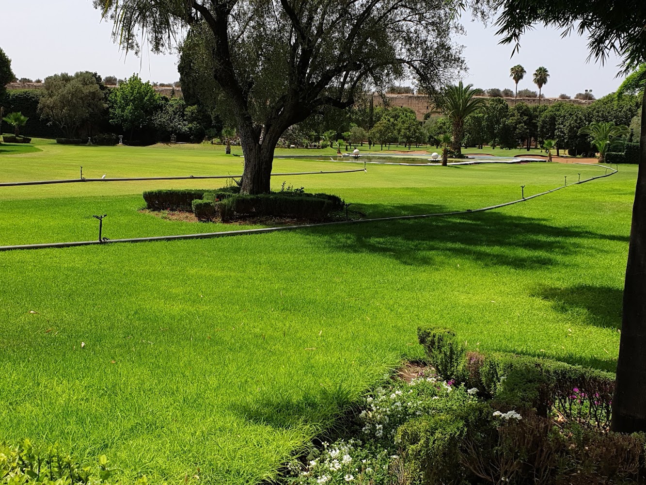 Royal Golf de Meknès - Meknès