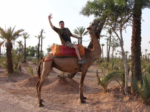 Enjoy Tours Morocco - Day Tour - Fès - +212 771-989147