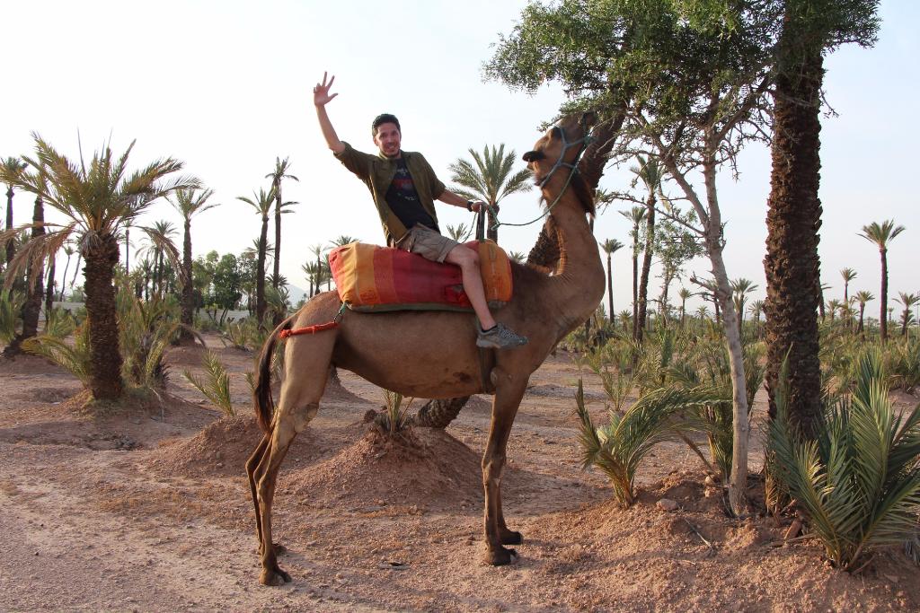 Enjoy Tours Morocco - Day Tour - Fès