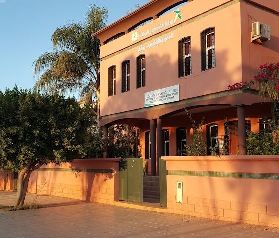 Direction de la Jeunesse et des Sports à Berkane - Berkane - +212 5366-13298