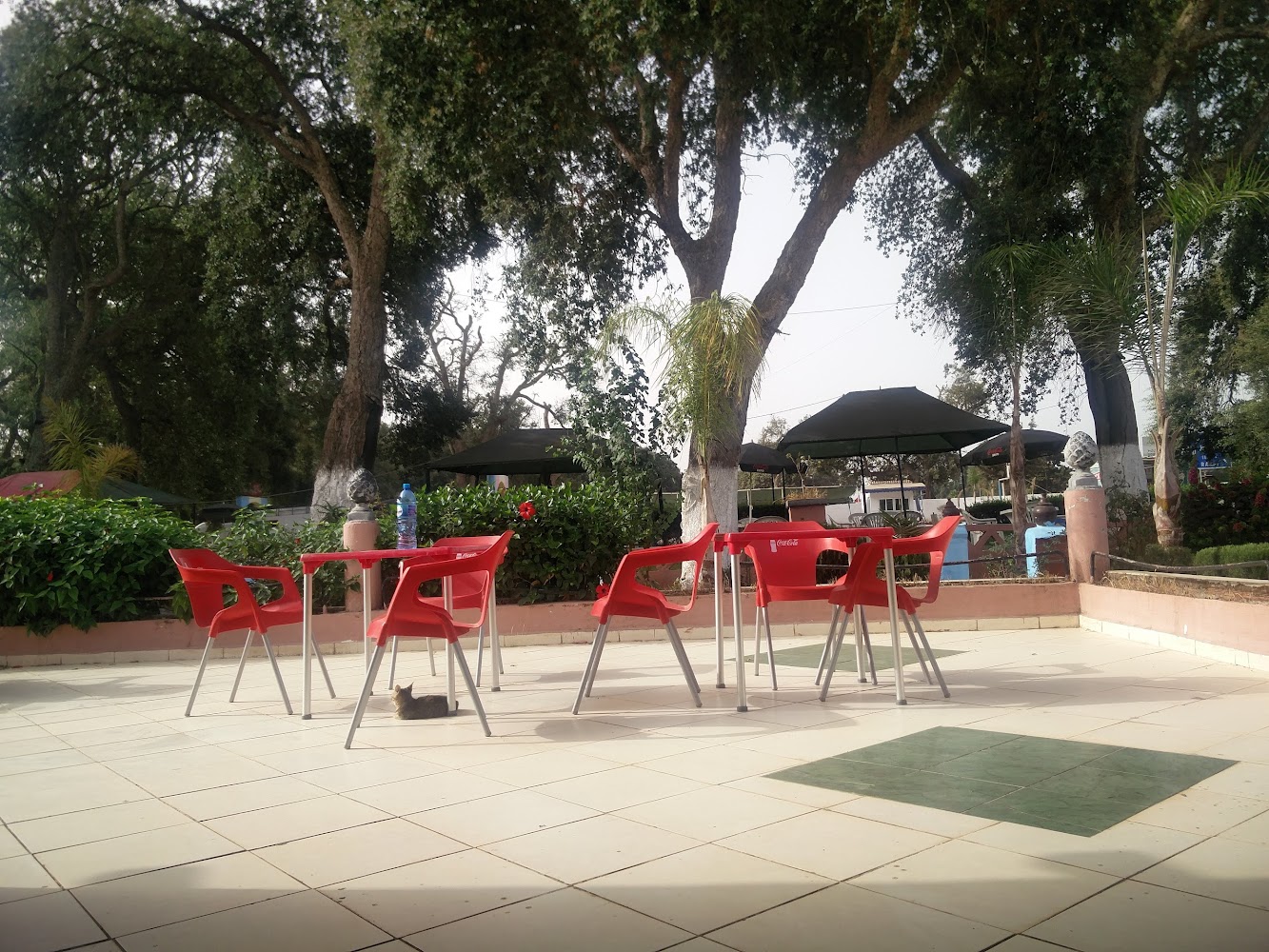 Café Mirage - Larache