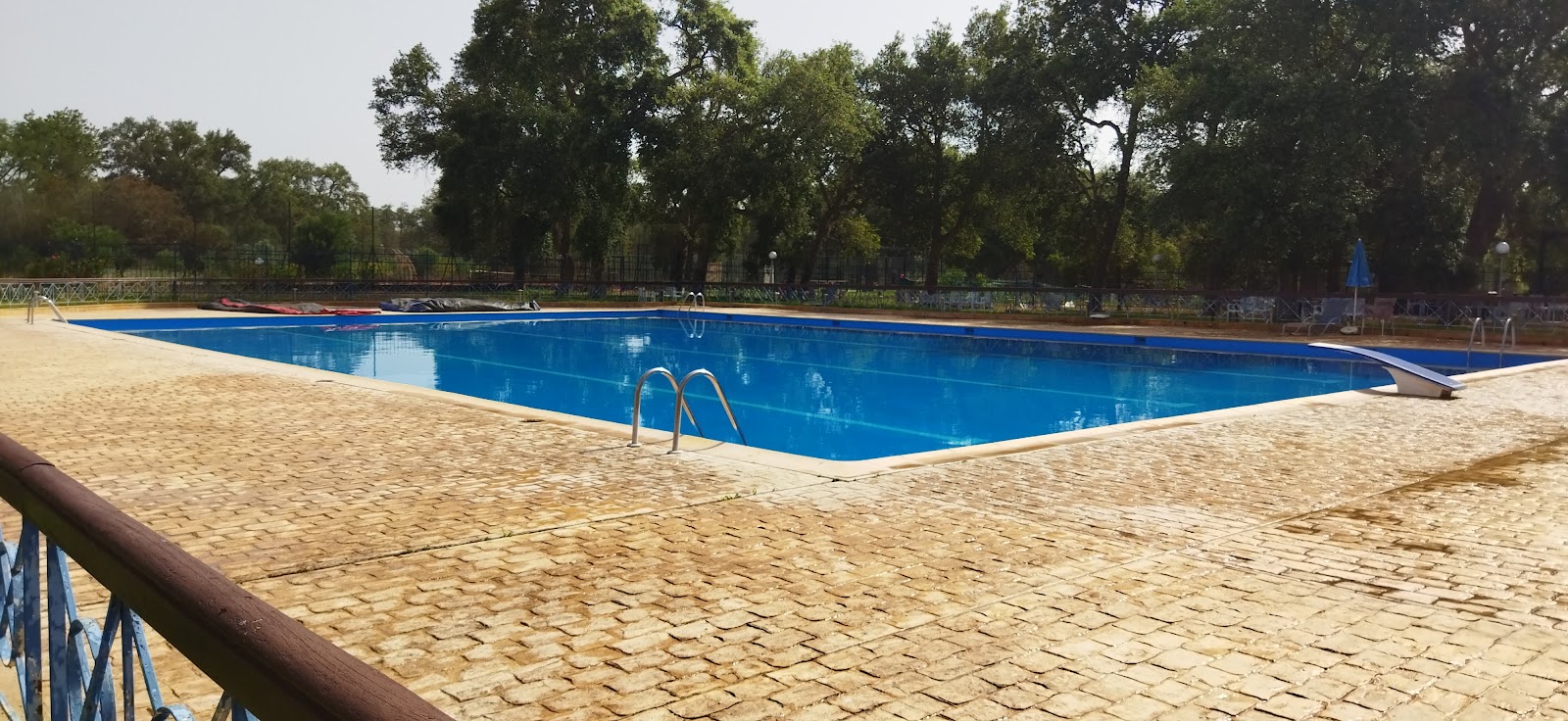 Piscine des eaux et forêts - Salé