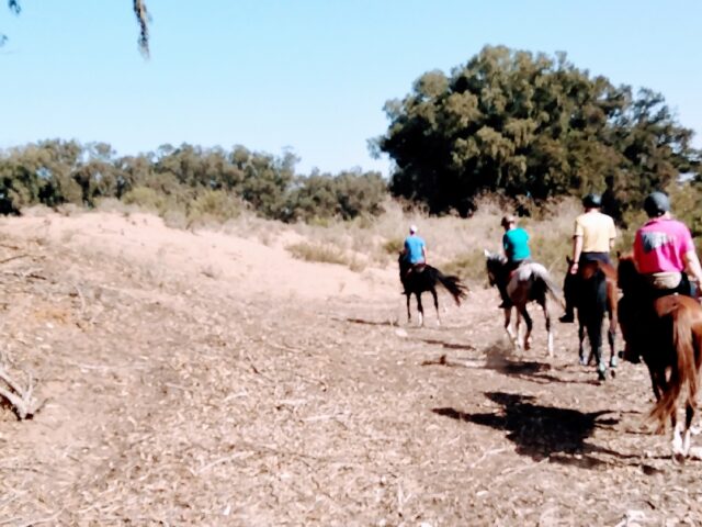 Horse Trekking Services Agadir - Inezgane -