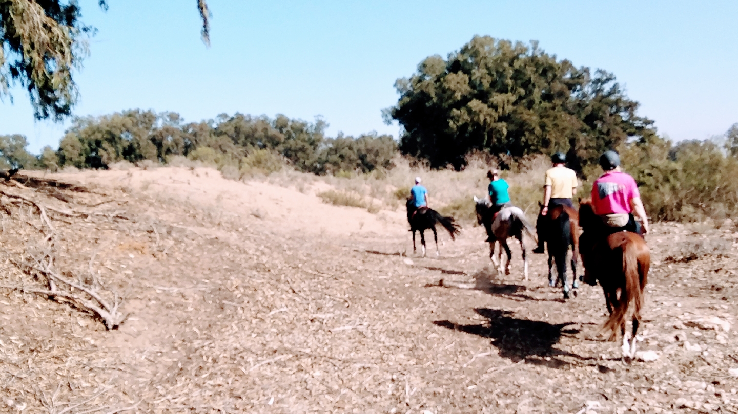 Horse Trekking Services Agadir - Inezgane