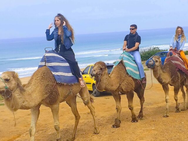 Yalla Tours Tangier - Tanger - +212 606-546662