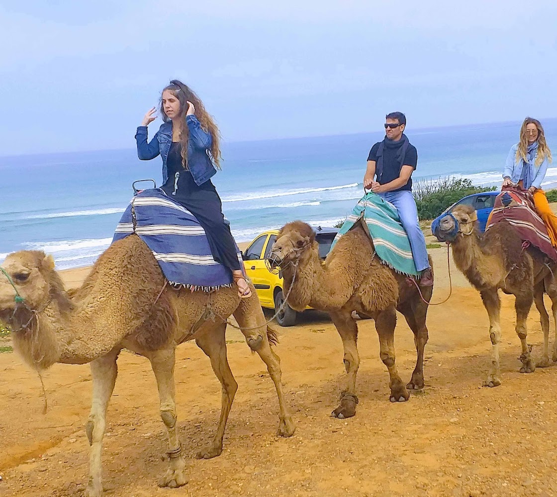 Yalla Tours Tangier - Tanger