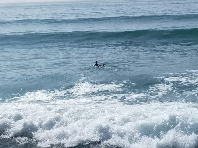Surf It Coffe - Taghazout -