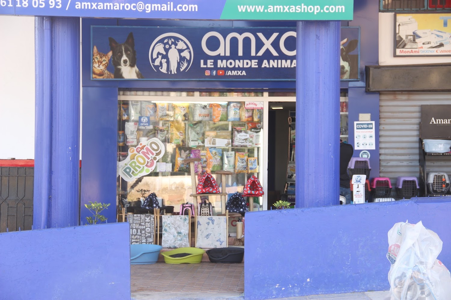 Animalerie Amxa el jadida - El Jadida
