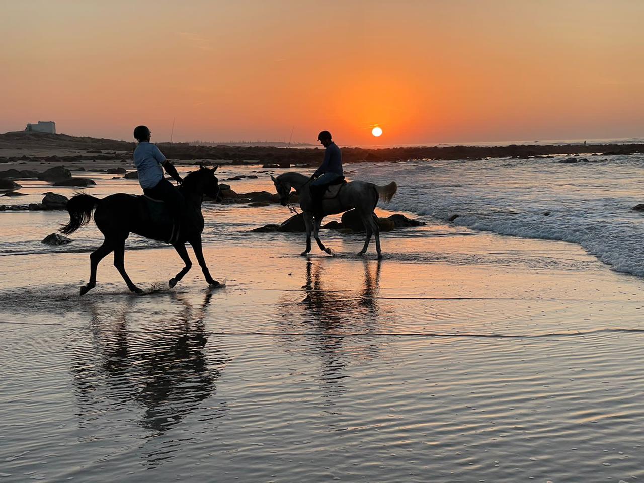 Hamza Reguiai Cheval équitation - Sidi Rahal