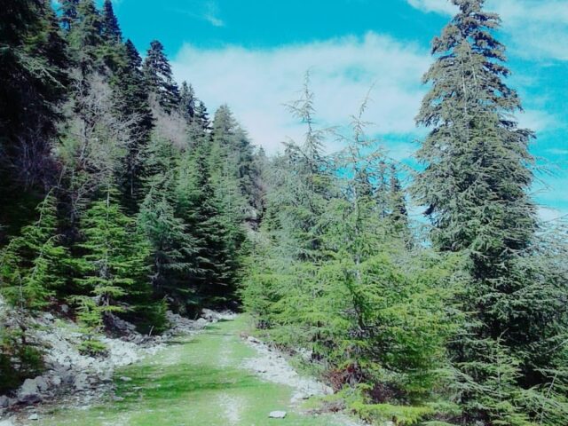المنتزه الوطني خربوش - Chefchaouen - +212 629-908262