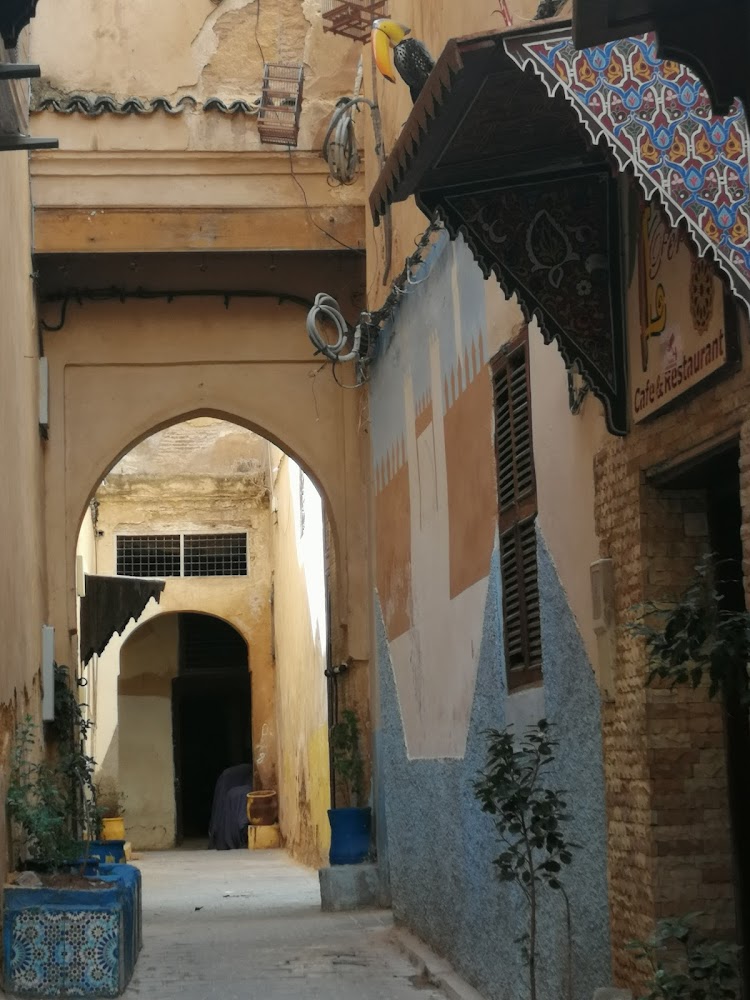 Riad Anass Al Ouali - Fès