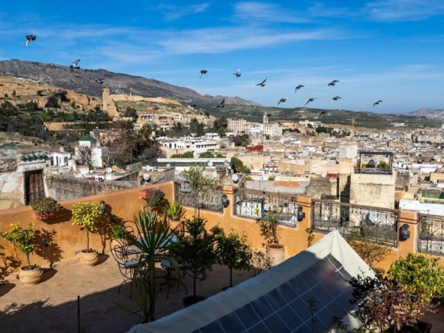 Dar Naima - Fès - +212 660-809967