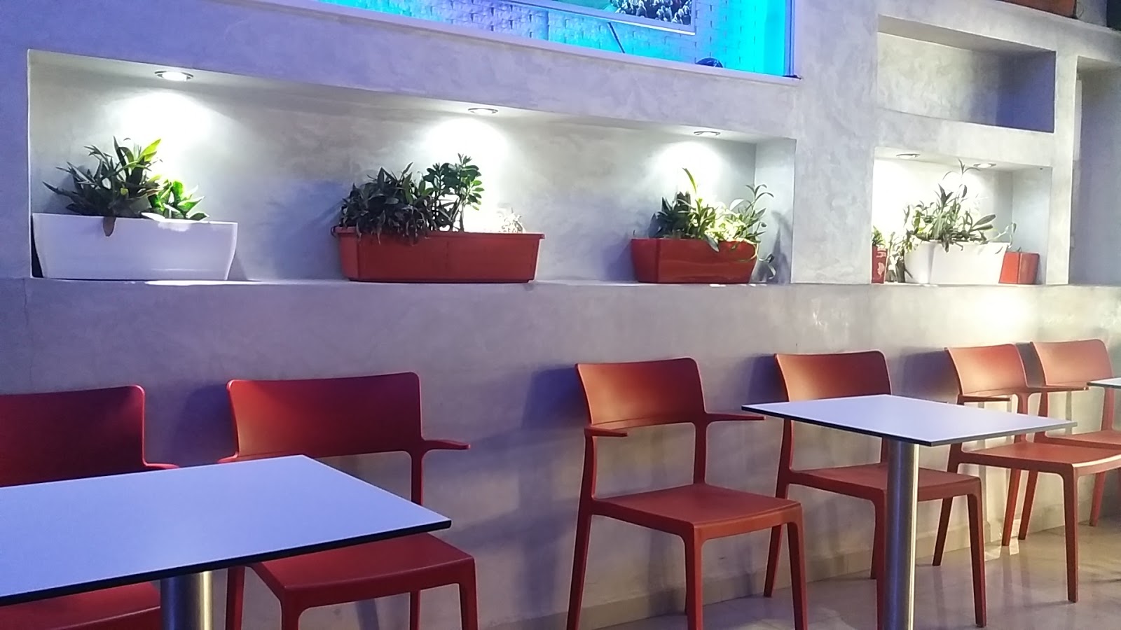 Café 44 - Oulad Teima