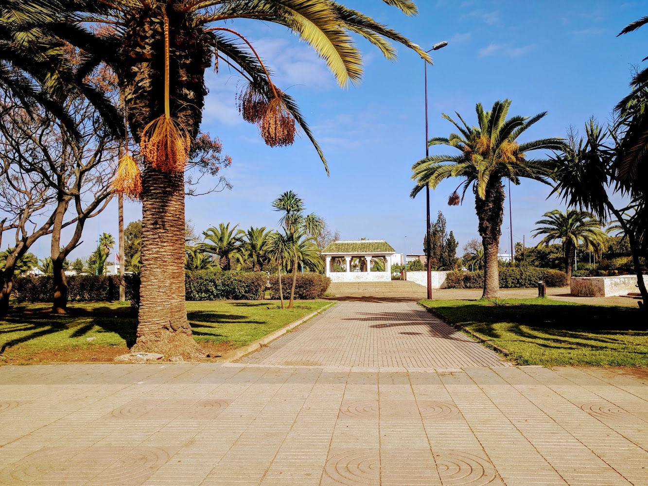 Jardin ALESCO - Casablanca -