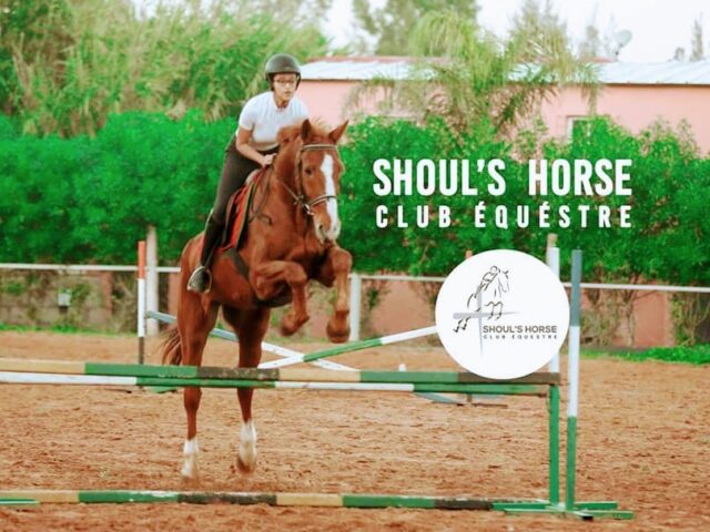 Shoul's Horse - Rabat - +212 604-303181