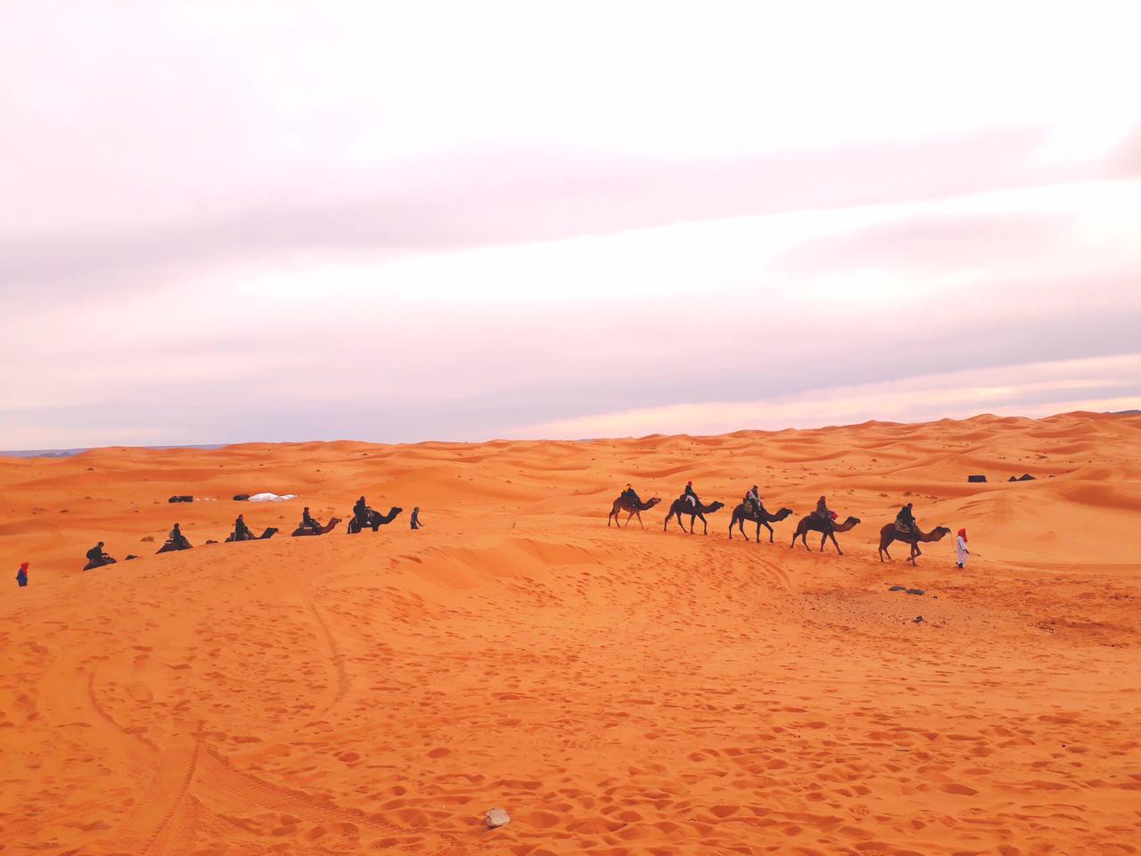 3 day Desert trip Fes to Marrakech - Fès
