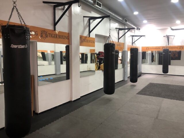 Tiger Boxing - Casablanca - +212 645-840452