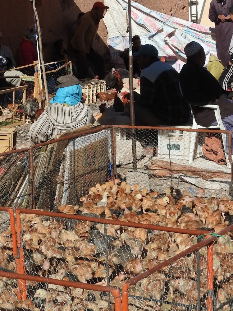 Souk de Dimanche - Ouarzazate
