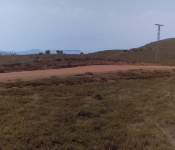 Campo Sfifa - Tanger -
