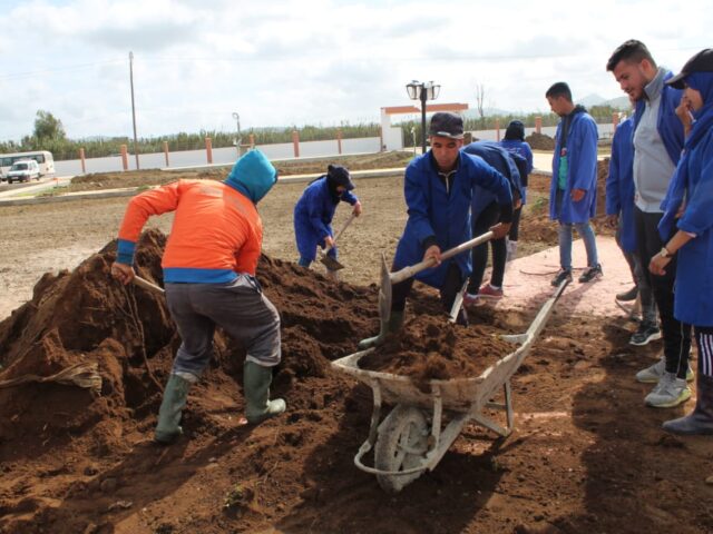 Institut des techniciens spécialisés en agriculture - Larache -
