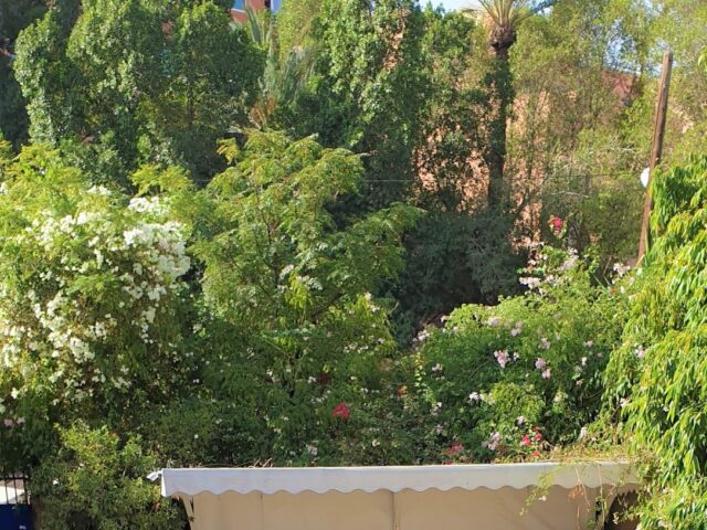 Center for Language & Culture - Marrakech - +212 5244-47691