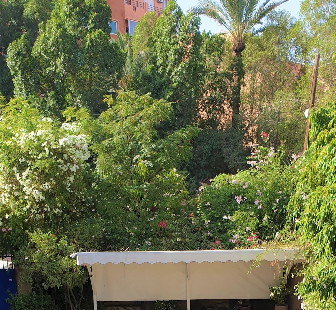 Center for Language & Culture - Marrakech
