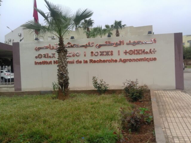 Institut National de la Recherche Agronomique - Oujda - +212 5365-00210