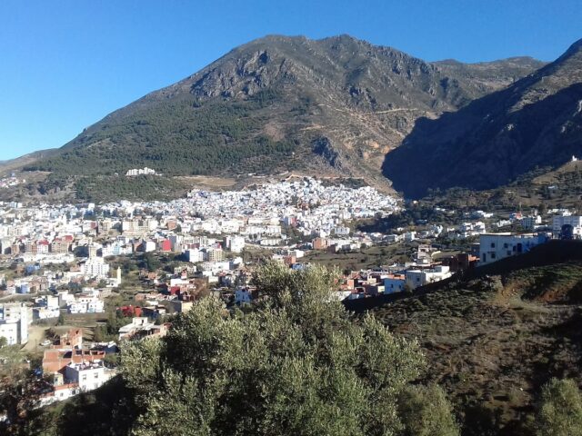 Dar rihana دار ريحانة - Chefchaouen - +212 661-377076