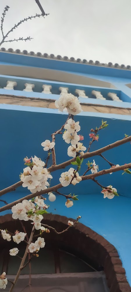 Gîte Dar Aicha à Bellouta - Ouazzane - +212 661-358660
