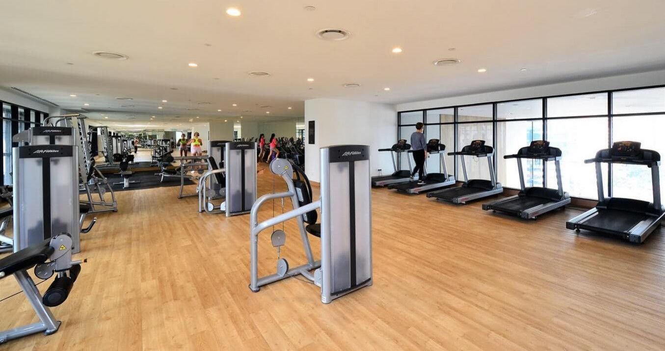 Hamza fitness -