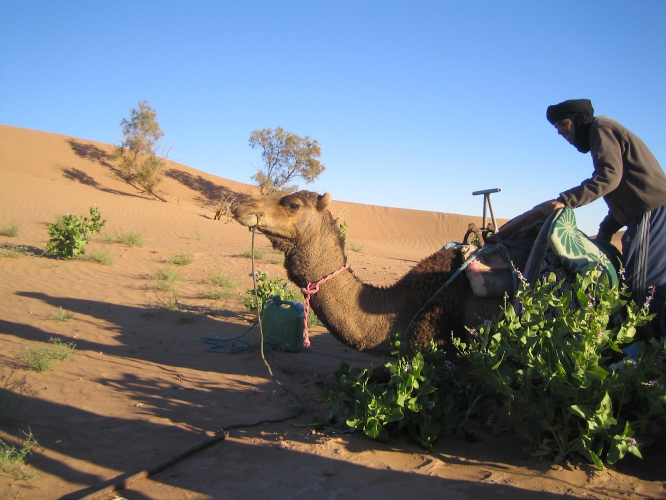 Desert Emotions - Zagora