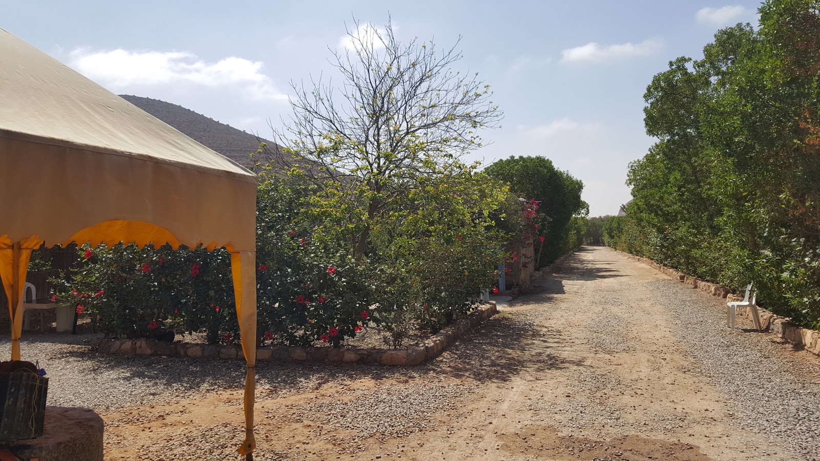 Camping de la Vallée - Abaynou - Guelmim