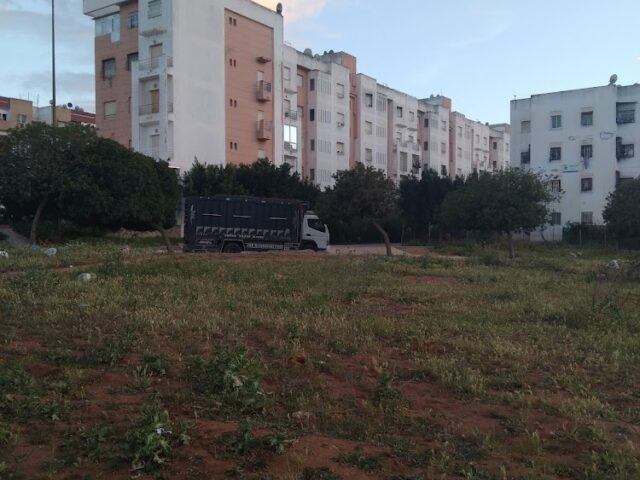 Tamesna City tout photo - Tamesna -