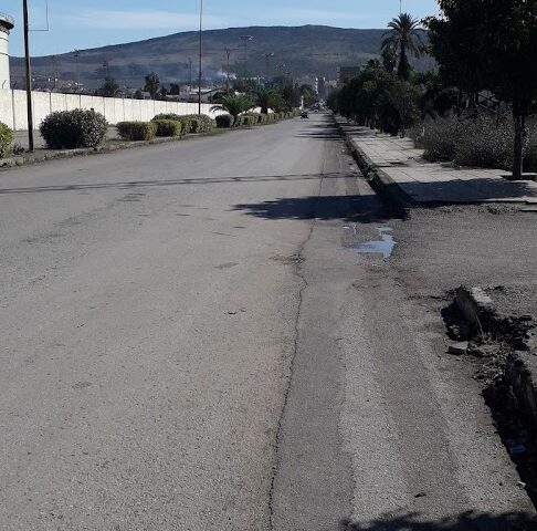 Agrumes de la Plaine Du Gharb - Sidi Kacem -