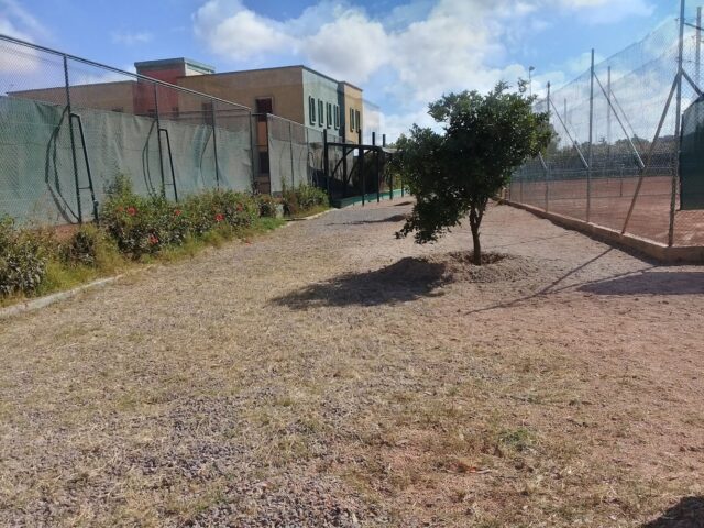 Terrain Omnisport Bir Jdid - Bir Jdid -