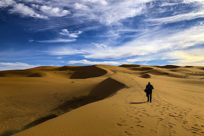 Fancy Tours Morocco - Fès - +212 675-399783