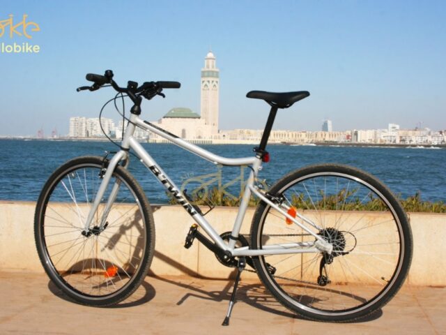 Allo Bike : Bike rental Casablanca - location de vélo - Casablanca - +212 680-612428