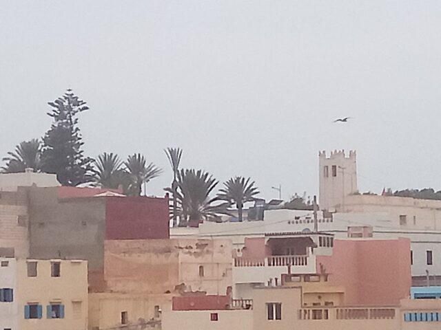 Xanadu guesthouse Sidi Ifni - Sidi Ifni - +212 5288-76718