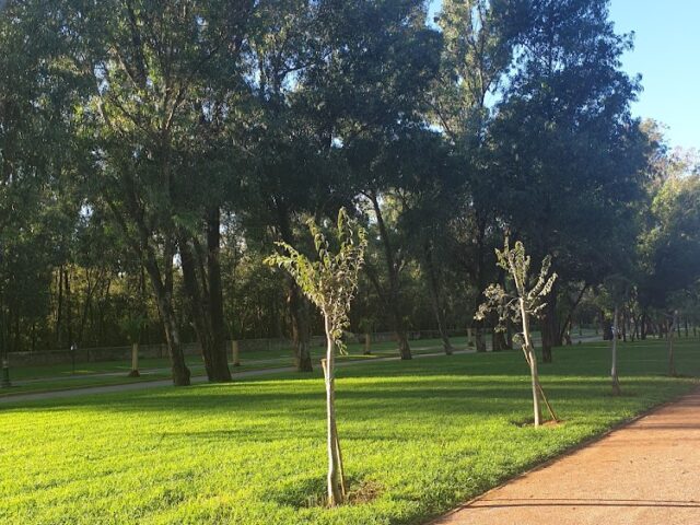 Forêt Dar Salam - Rabat -
