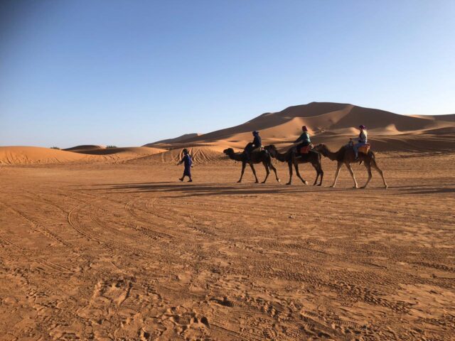 TRULY MOROCCO TRAVEL - Marrakech - +212 666-570998
