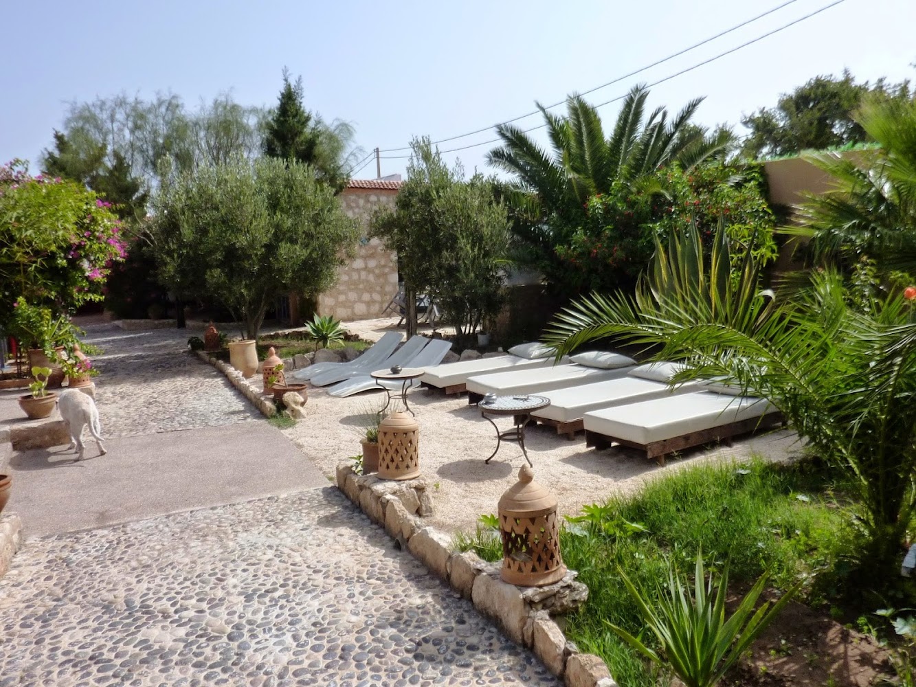 VILLA GRENADINE - Essaouira