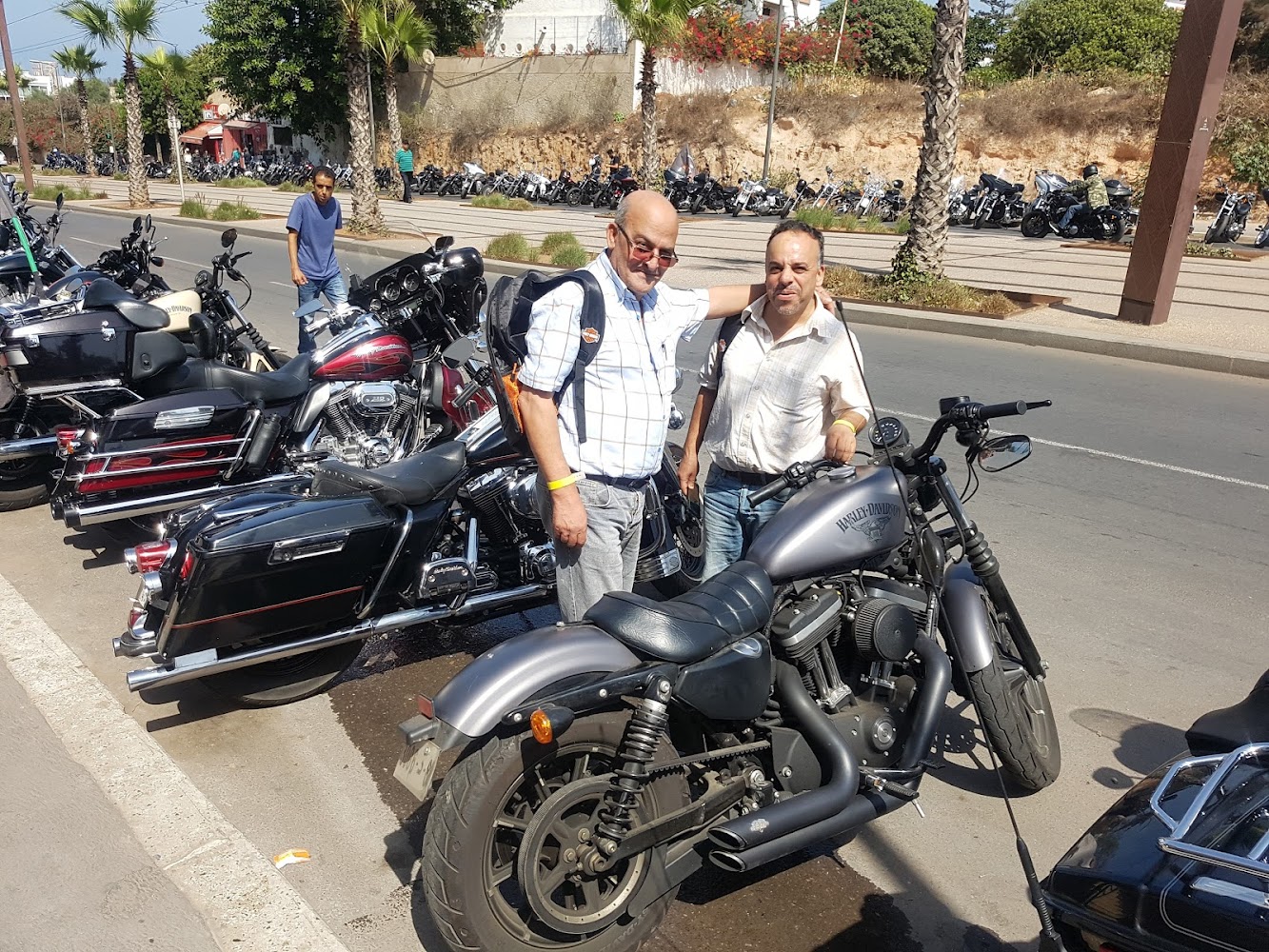 Harley Davidson Casablanca - Casablanca