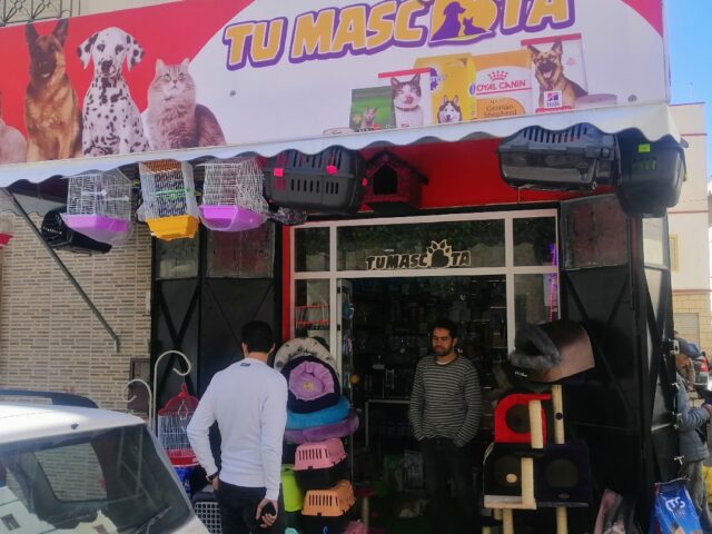 Tu mascata - Tétouan - +212 667-310835