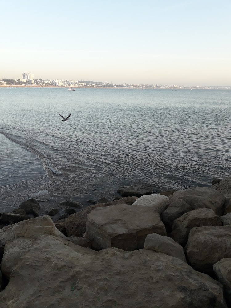 Max&Jan - Agadir