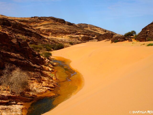 Dakhla Rovers Sarl - Dakhla - +212 636-808514