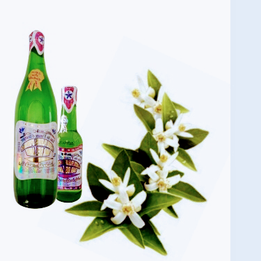 شركة فلور اورنجي دار بلعامري لي الإنتاج وتوزيع ماء الزهر - Salé - +212 661-352715