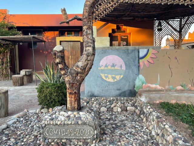 Camping Ouarzazate - Ouarzazate - +212 667-760364